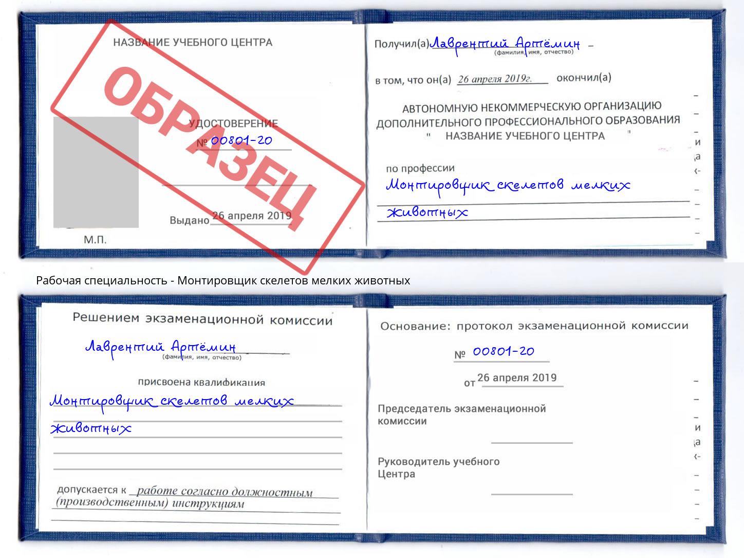 Монтировщик скелетов мелких животных Югорск