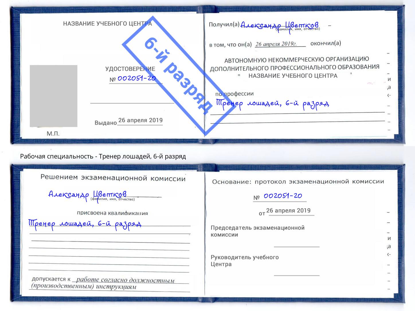 корочка 6-й разряд Тренер лошадей Югорск