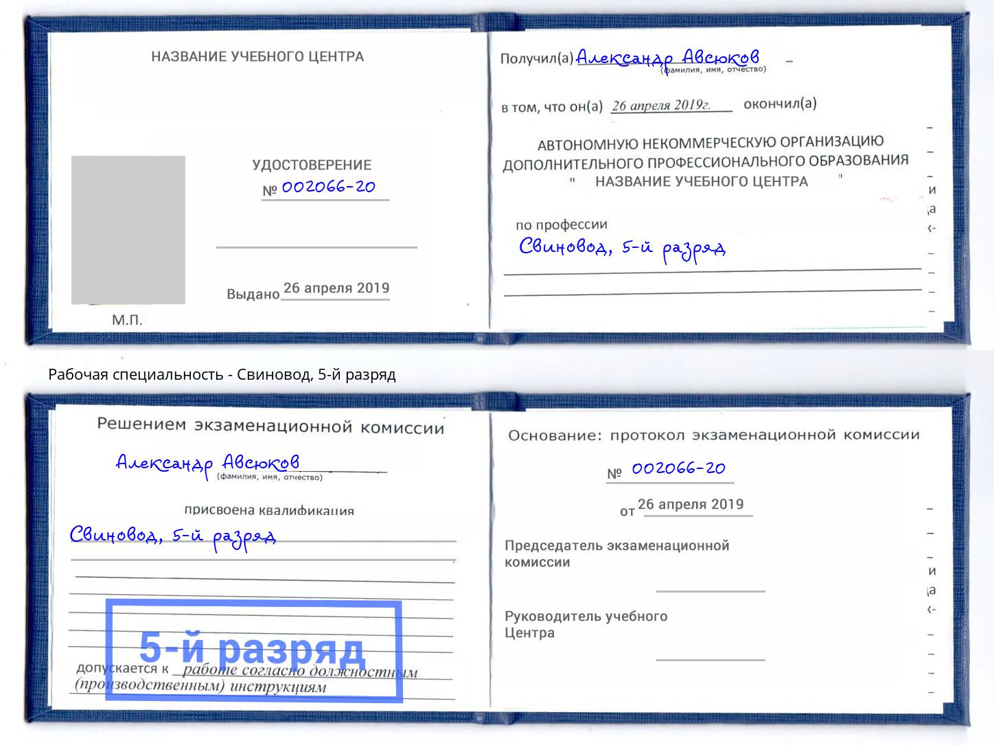 корочка 5-й разряд Свиновод Югорск